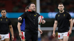 Sherratt returns as Wales interim coach for Japan tour