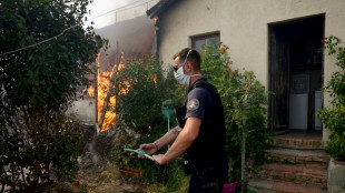 Waldbrand in Südkfrankreich erreicht Hafenstadt Marseille