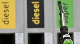 Wirtschaftsministerin Reiche: Keine Ma&szlig;nahmen gegen hohe Spritpreise geplant