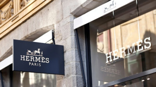 Hermes defies US tariffs as sales grow