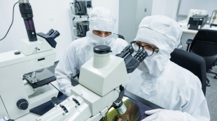 Unternehmen in Deutschland sorgen sich um Versorgung mit Computer-Chips