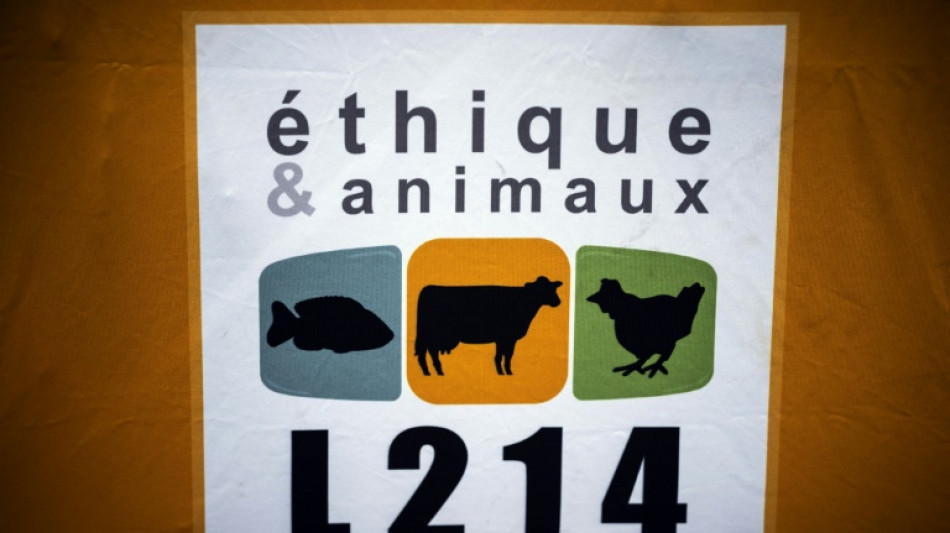 La justice va enqu&ecirc;ter sur un abattoir de Mayenne apr&egrave;s une plainte de L214