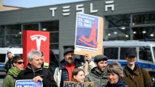 Tesla sales fall again in Germany amid Musk backlash