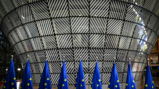 EU seeks 'face-saving' deal on UN climate target