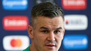 Sexton moves into coaching role with Ireland and Lions