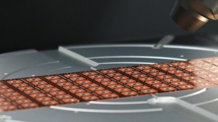 Umfrage: Deutsche Wirtschaft weiter stark von ausländischer Digitaltechnik abhängig