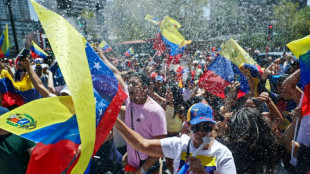 'At last': Venezuelans abroad celebrate Maduro ouster