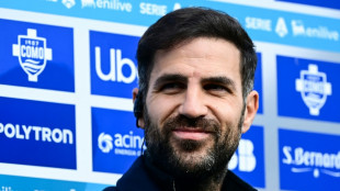 Gazzetta dello Sport: Gespräche zwischen Bayer und Fàbregas