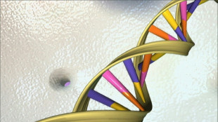 Coldcase um jahrezehntealten Sexualmord: DNA-Spur &uuml;berf&uuml;hrte mutma&szlig;lichen T&auml;ter