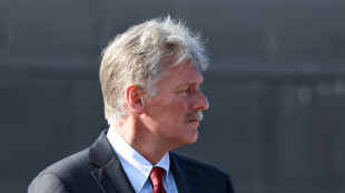 Cremlino, 'non atteso documento congiunto dopo il vertice'