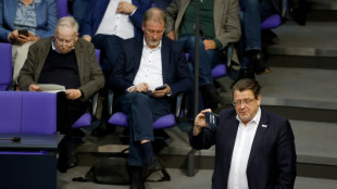 Bundestag hebt Immunität der AfD-Abgeordneten Brandner und Moosdorf auf