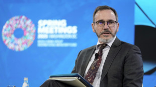 IMF raises 2025 global growth forecast on 'modest' US trade shock