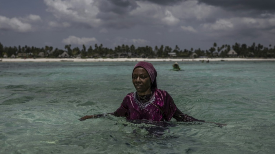 A Zanzibar, l'&eacute;levage d'&eacute;ponges de mer offre une bou&eacute;e de sauvetage aux femmes