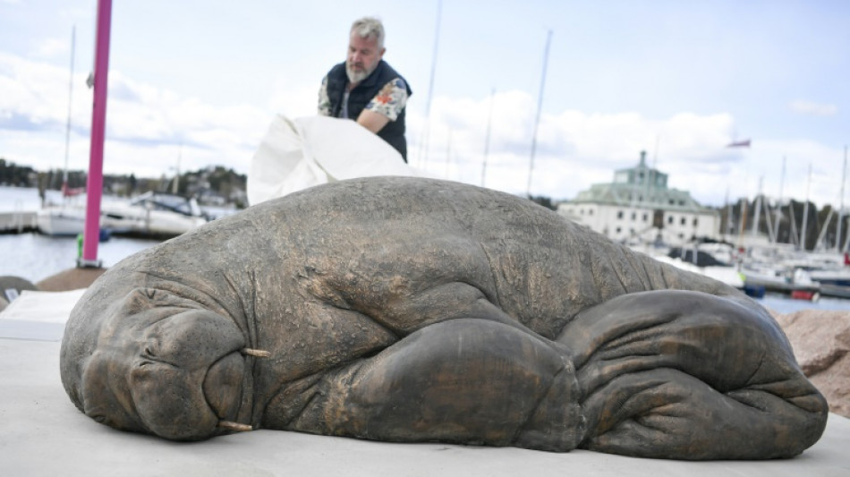 Une sculpture repr&eacute;sentant un c&eacute;l&egrave;bre morse d&eacute;voil&eacute;e en Norv&egrave;ge