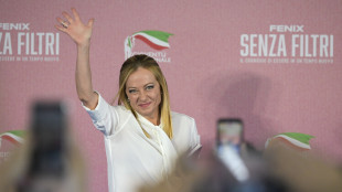 Meloni,'ce la metterò tutta,non sprechiamo questa occasione'