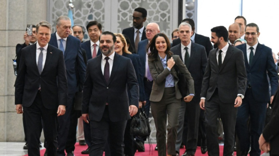 Conselho de Seguran&ccedil;a da ONU afirma estar disposto a apoiar S&iacute;ria durante visita