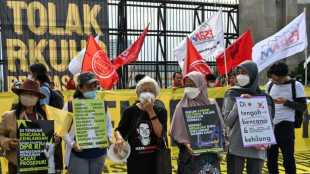 'Serious threat': Indonesia legal reform sparks rights challenges