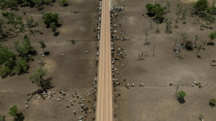 Setor agr&iacute;cola da Bol&iacute;via aguarda mudan&ccedil;a de governo para reativar produ&ccedil;&atilde;o