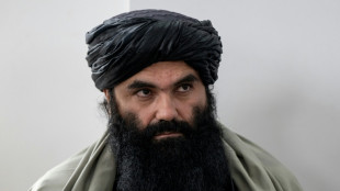 Gr&uuml;ne kritisieren Bundesregierung f&uuml;r Zusammenarbeit mit Taliban