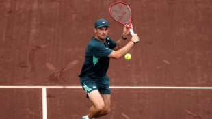 Paul battles past Burruchaga to win ATP Houston title