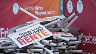 Rheinland-Pfalz: BSW wählt Abgeordneten Hartenfels zu Spitzenkandidaten