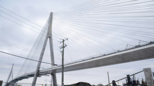 Neue US-Z&ouml;lle: Kanada sagt Er&ouml;ffnungsfeier f&uuml;r gemeinsame Br&uuml;cke ab