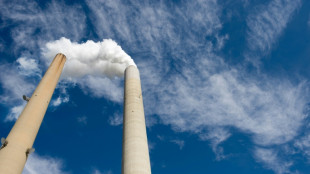 Climat: les plus gros pollueurs laissent une note astronomique, selon une &eacute;tude