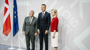 Budapest, 'oggi a Copenaghen uno tsunami pro guerra'