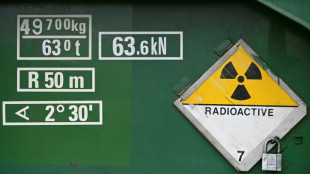 Deutsch-russische Atom-Zusammenarbeit genehmigt - Partei&uuml;bergreifend Kritik