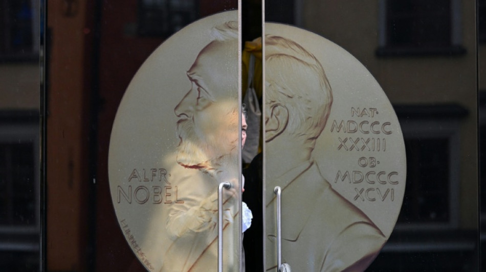 Literatur-Nobelpreis: Experten erwarten männlichen Preisträger aus dem Westen