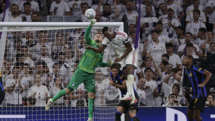 Calcio: Spagna, De La Fuente convoca Martinez dell'Inter