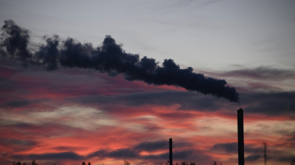 Gr&uuml;ne fordern von Regierung ehrgeiziges Klimaschutzprogramm