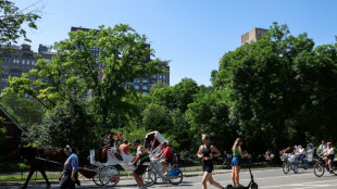 Urteil: Verletzung bei Dienstsport aufgrund von Vorschädigung kein Dienstunfall