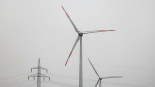 Staatshilfen: EU-Kommission ermittelt gegen Windturbinen-Hersteller aus China