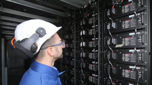 Dall'Italia una tecnica per riciclare le batterie al litio