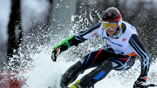 Russians, Belarusians to compete under own flags at Paralympics: IPC tells AFP