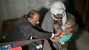 Le Pakistan combat des l&eacute;gions de faux m&eacute;decins