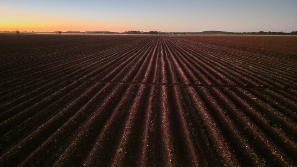 Zimbabwe farmers seek US help over long-promised payouts