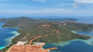 La explotación de níquel amenaza una importante reserva de biodiversidad marina en Indonesia