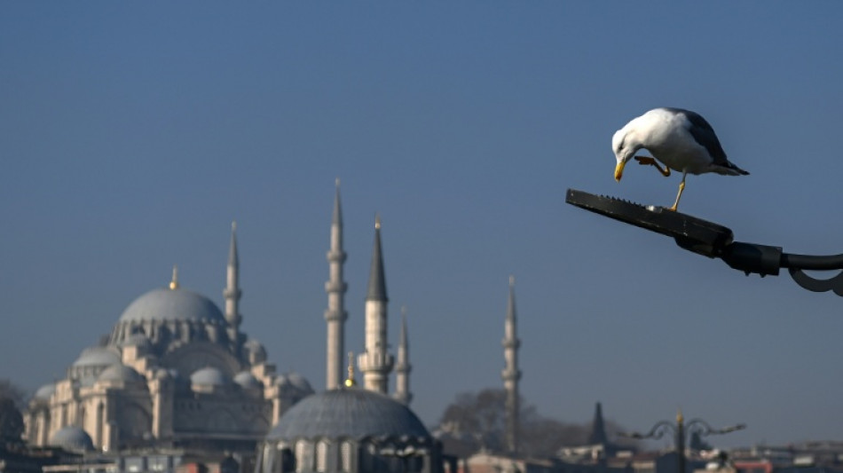 Nearly an own gull! CPR performed on bird at Turkey football match