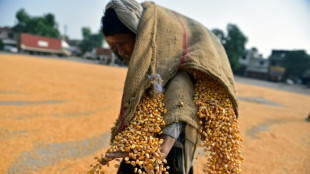 India exporters say 50% Trump levy a 'severe setback'