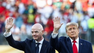 Fifa &eacute; duramente criticada por projeto de investimento privado