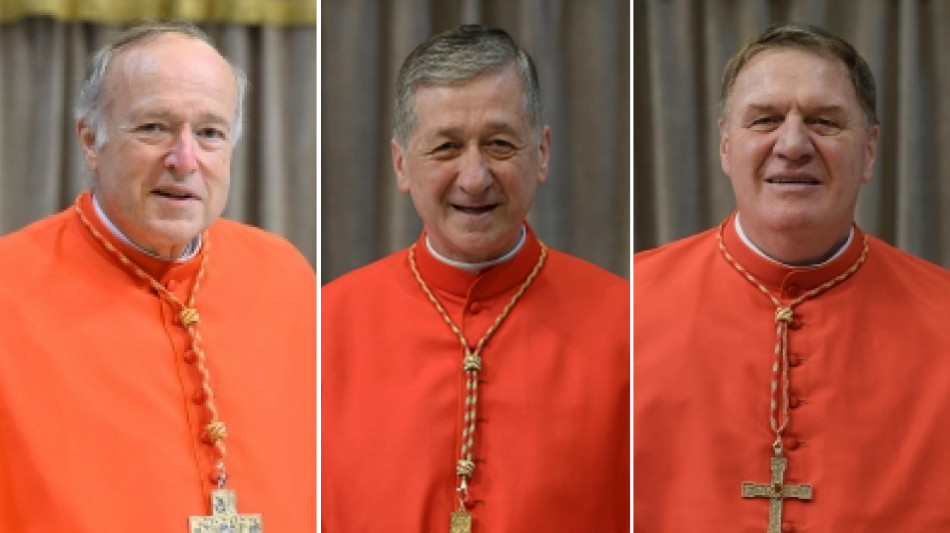 Tre cardinali Usa contro Trump, politiche Usa distruttive