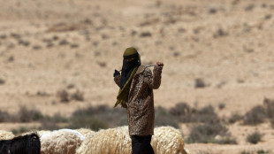 Idf conferma raid Rafah 'dopo missile anticarro su truppe'