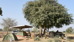 Dans le nord du Togo, une discrète poussée jihadiste depuis le Burkina
