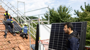 En Allemagne, le destin radieux d'un réfugié devenu patron dans l'énergie