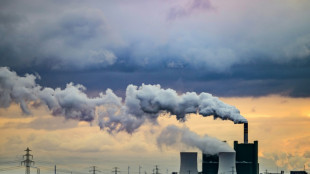 Sachsen-Anhalt: Brand in Braunkohlekraftwerk Schkopau unter Kontrolle