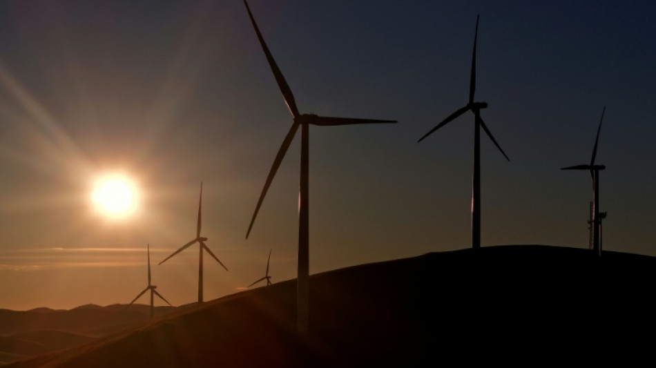 El avance de la capacidad solar y e&oacute;lica desaceler&oacute; el a&ntilde;o pasado, seg&uacute;n un an&aacute;lisis