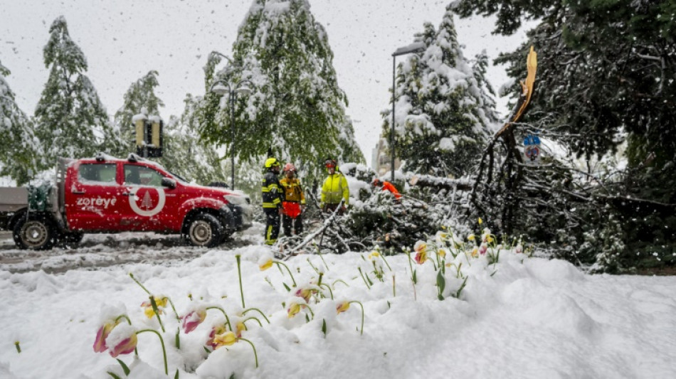 Heftige Schnee- und Regenfälle: Straßen und Bahnstrecken in der Schweiz gesperrt