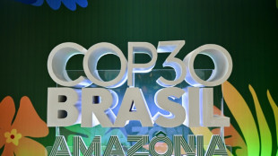 Anfitri&atilde;o da COP30, Brasil ostenta balan&ccedil;o positivo em mat&eacute;ria clim&aacute;tica